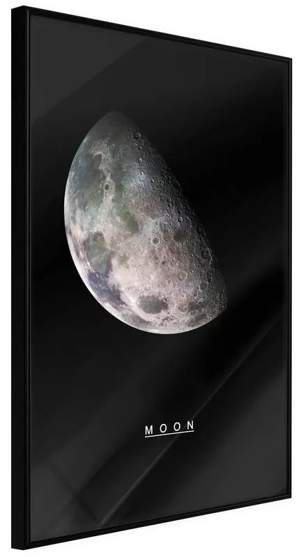 Poster  The Solar System: Moon  Cornice Quadri Cornice nera, Larghezza x Altezza Home decor 20x30