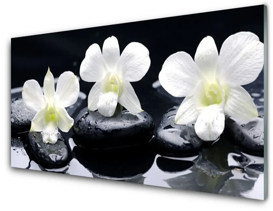 KitchenYeah Paraschizzi Per Cucina In Alluminio 70x50 Cm - Stampa Decorativa Orchidea/fiori, Antispruzzi, Facile Da Pulire