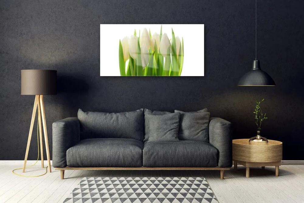 Quadro acrilico Tulipani Pianta Natura 100x50 cm