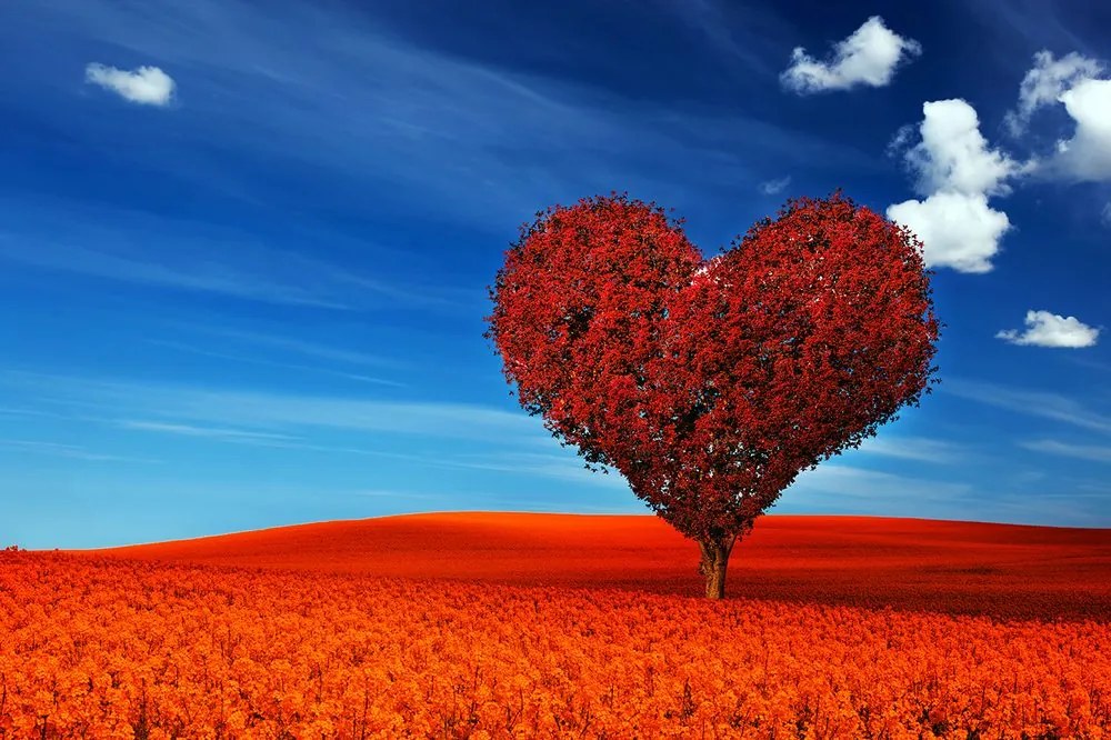 Carta da parati – Albero meraviglioso a forma di cuore