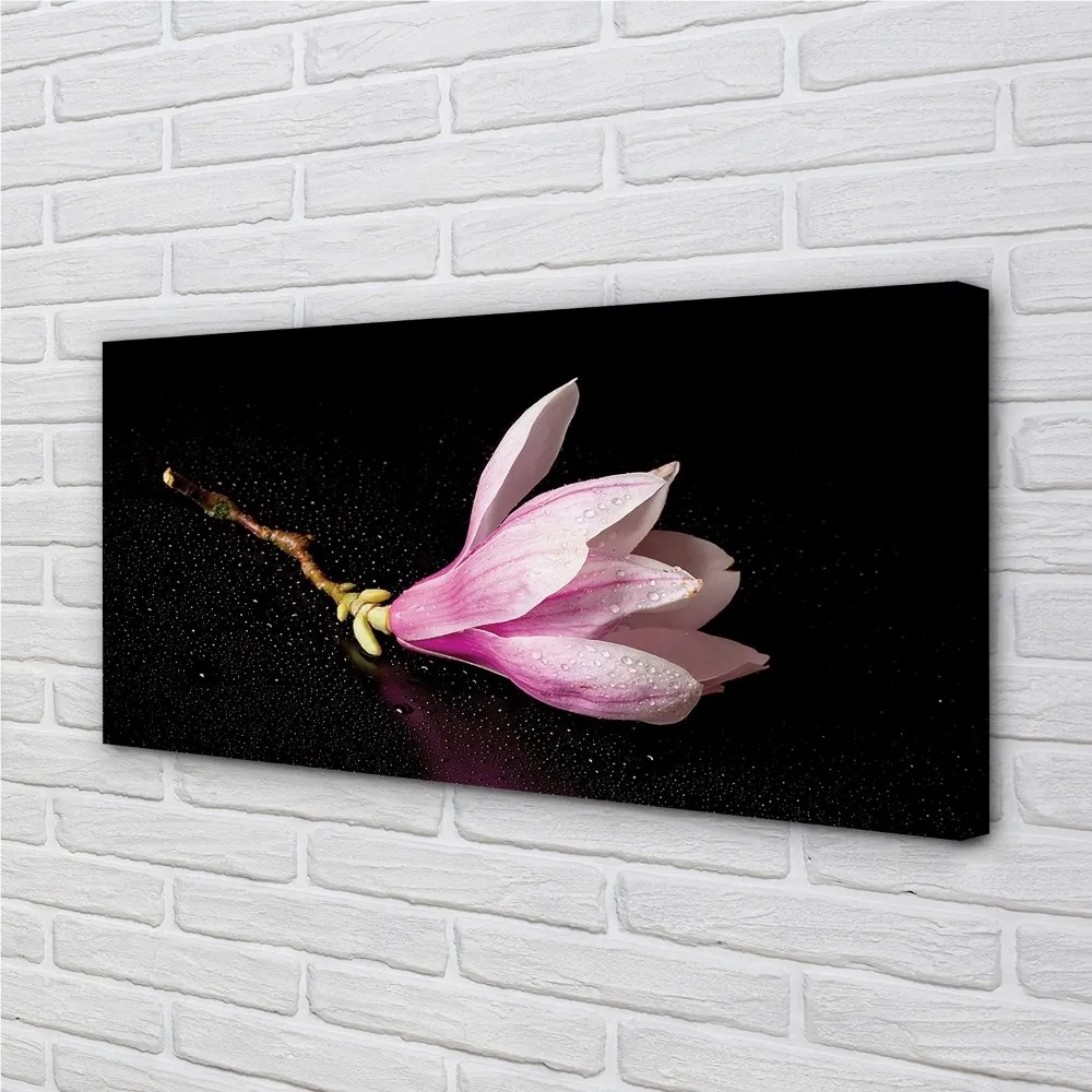 Quadro su tela Acqua di fiori 100x50 cm