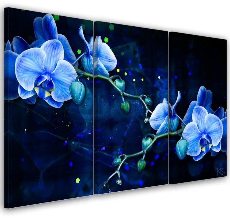 Quadro su tela 3  pannelli, Fiore di orchidea blu  Dimensioni 120x80