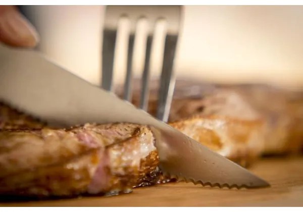 Tefal - Set da 4 coltelli da bistecca in acciaio inox ICE FORCE 11 cm cromo/nero