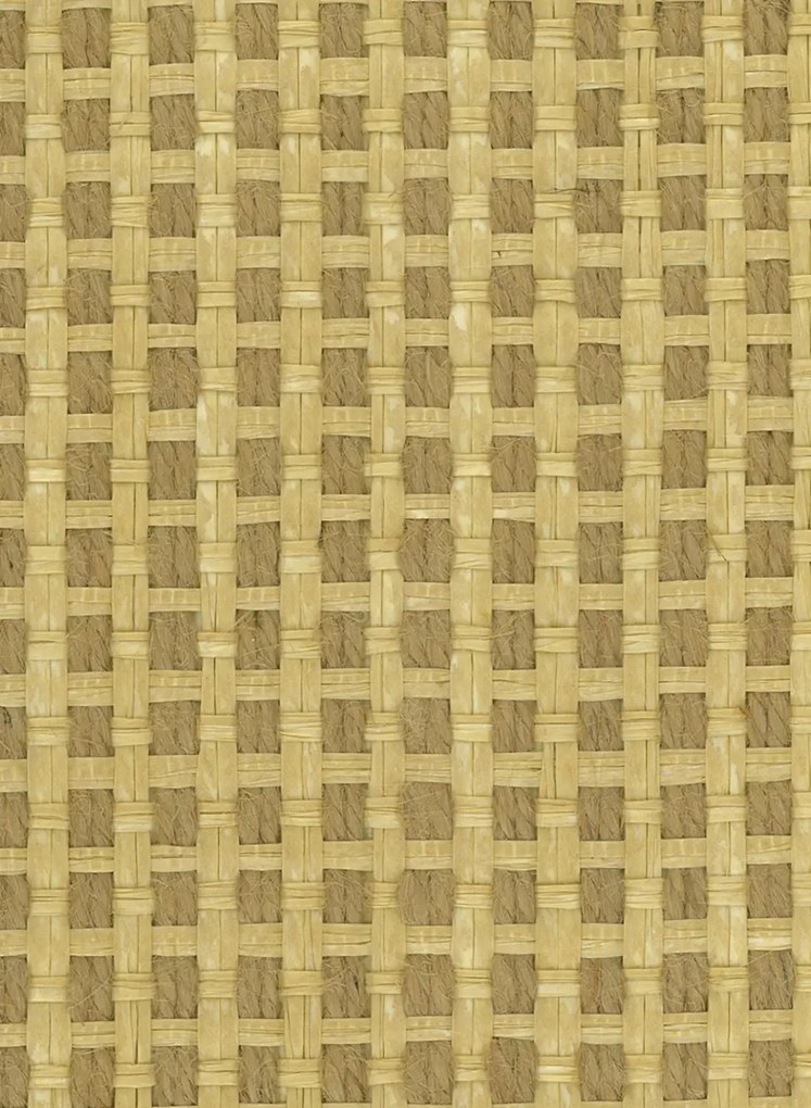 Osborne & Little Carta da parati Papyrus - Honey
