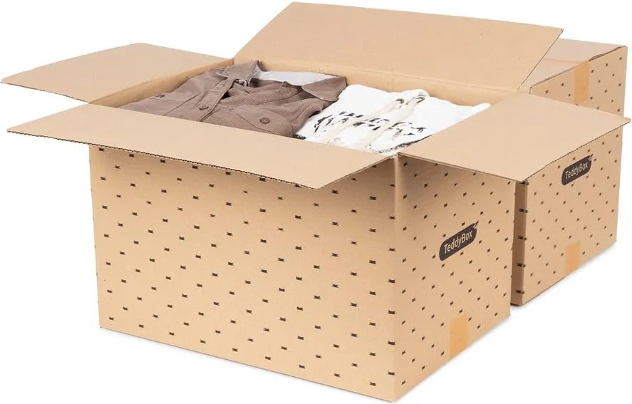 Set di 2 scatole portaoggetti beige Teddy, 42 x 30 cm - Compactor