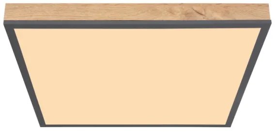 Globo 416080WD2 - Plafoniera LED DORO LED/24W/230V