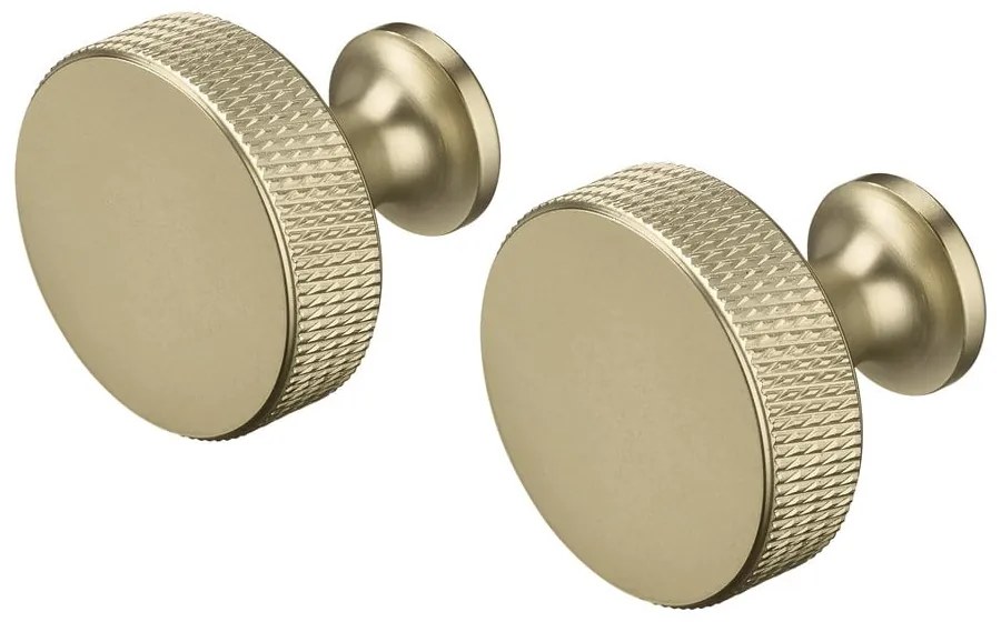 Set di ganci da parete color ottone in metallo 2 pz Rof – Blomus