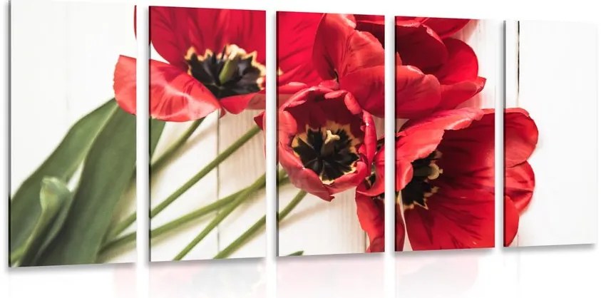 Quadri 5 pezzi – Tulipani rossi in fiore