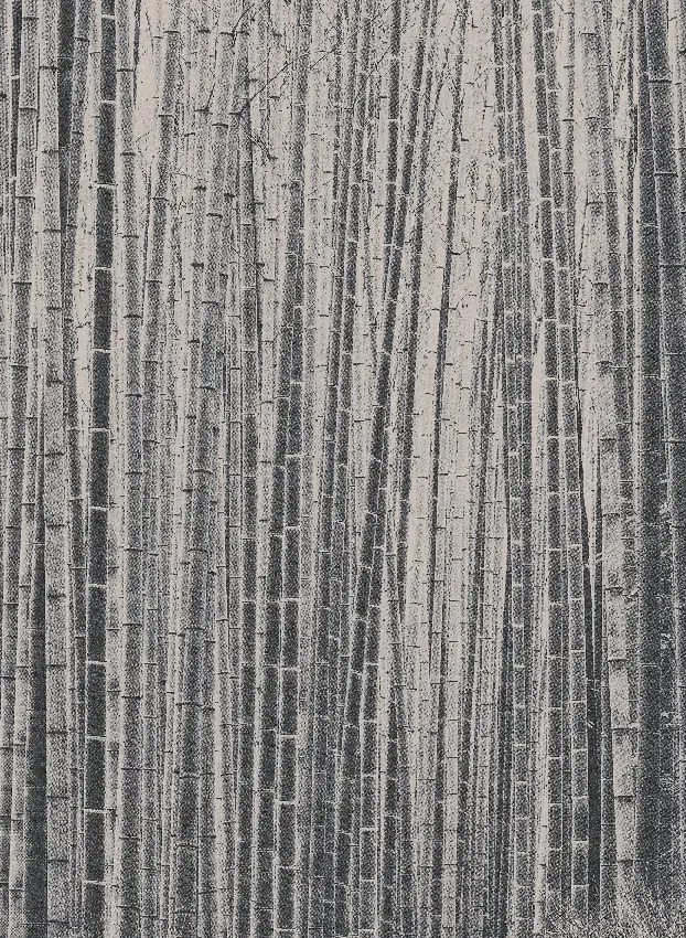Jannelli & Volpi Carta da parati panoramica Arashiyama - Black Panel 3