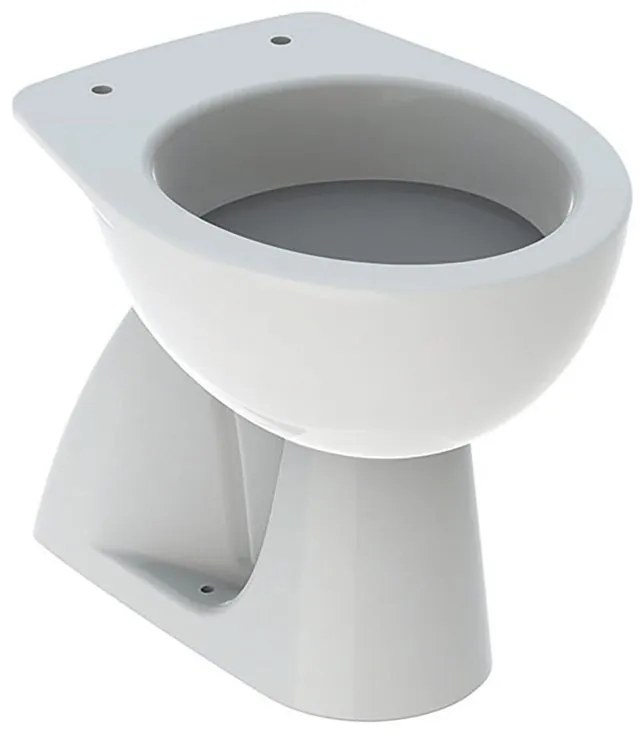 Vaso WC distanziato GEBERIT colibri scarico a pavimento, sedile escluso P 53 x L 36 x H 39 cm bianco lucido