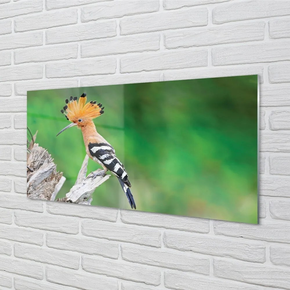 Quadro in vetro Pappagallo color albero 100x50 cm 2 appendini