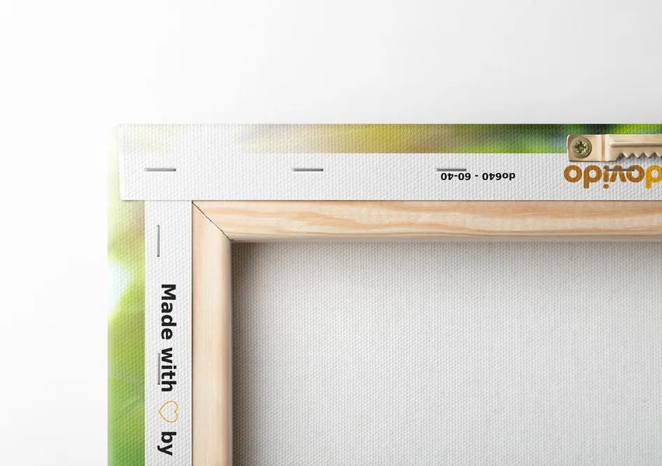 Quadro su tela – Armonia nel giardino Zen