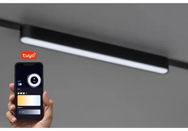 Rabalux 70124-LED Plafoniera dimmerabile per sistema a binario monofase LiTrack 16W/24V 33 cm