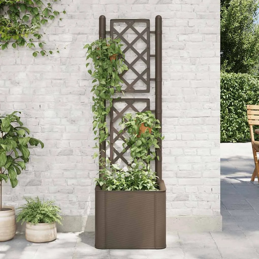 Letto Rialzato Da Giardino Con Graticcio E Irrigazione Moca /