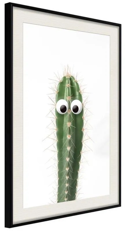 Poster Funny Cactus I