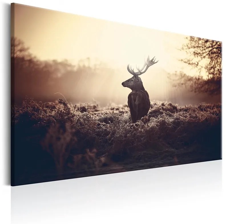 Quadro Lurking Deer  Colore Beige, Dimensioni e Misure 120x80