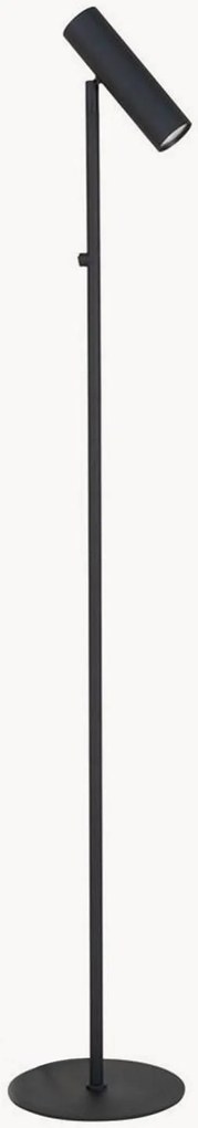 Lampada da terra Paris LED, regolabile