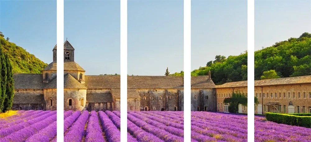 Quadri 5 pezzi – Provenza con campi di lavanda