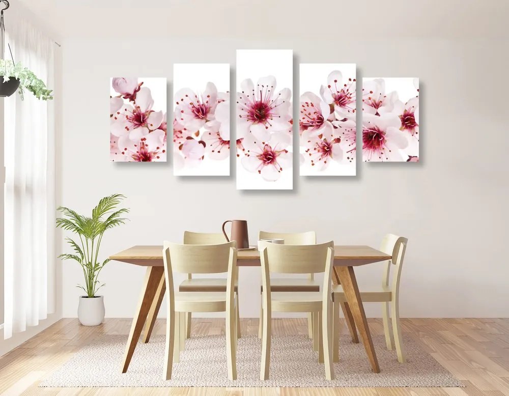 Quadri 5 pezzi – Fiori di ciliegio