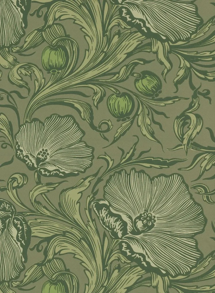Little Greene Tapete Poppy Trail - Sage Green