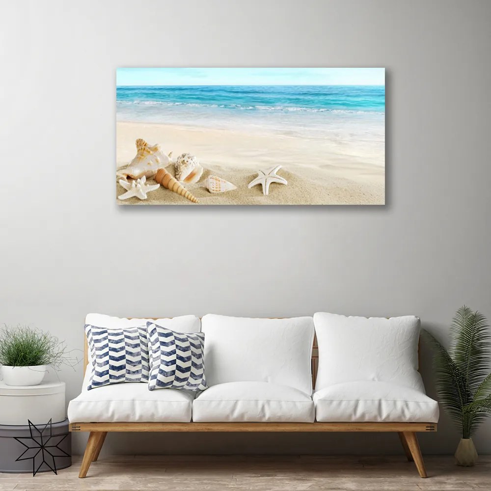 Stampa quadro su tela Stelle marine di conchiglie 140x70 cm