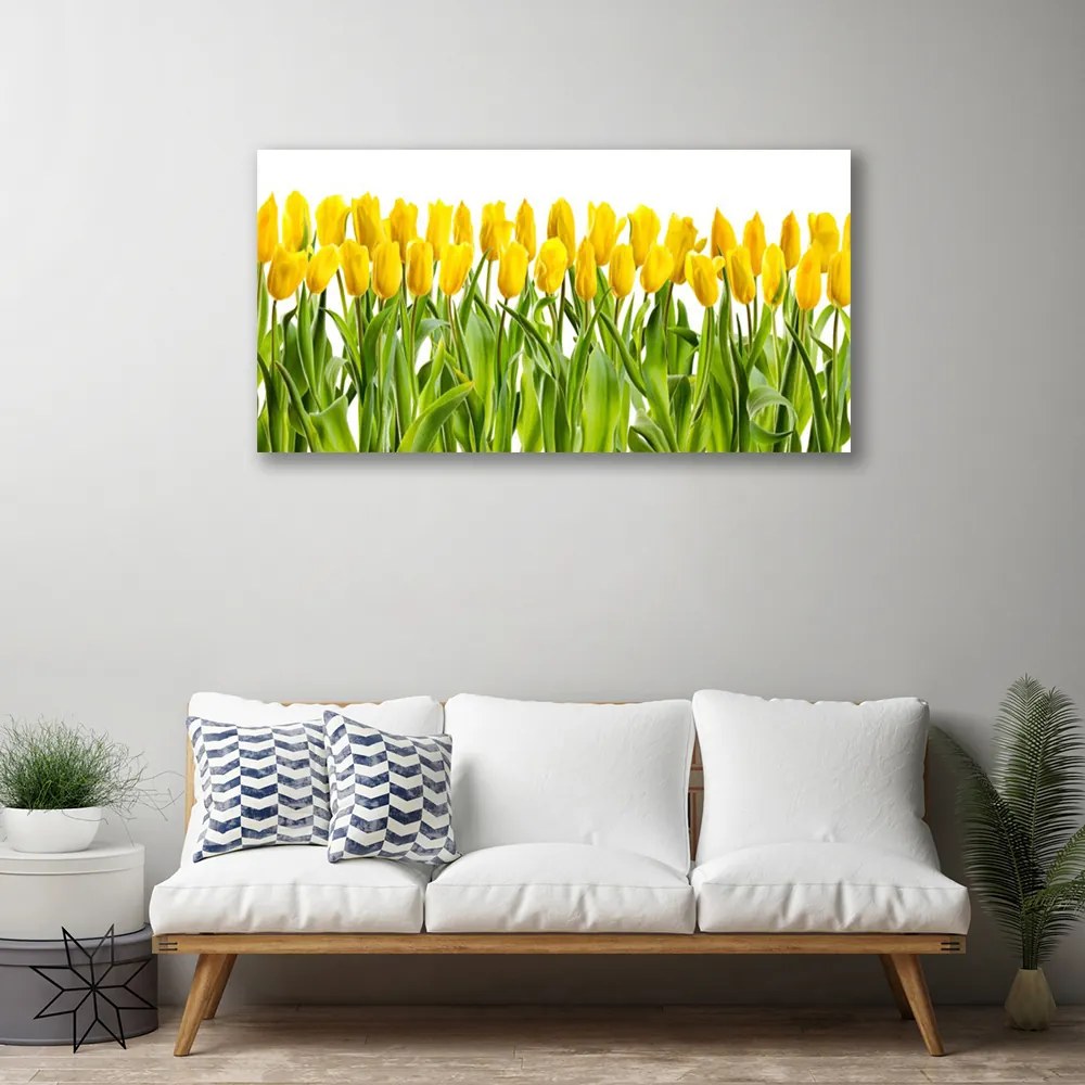 Quadro su tela Tulipani, fiori, natura 100x50 cm