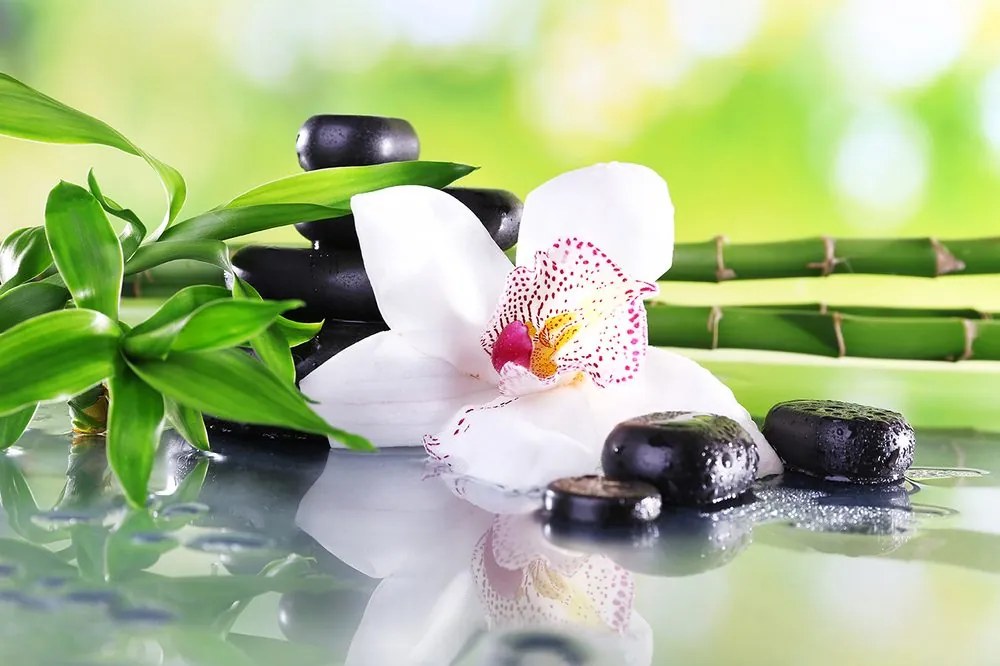 Carta da parati – Orchidea giapponese