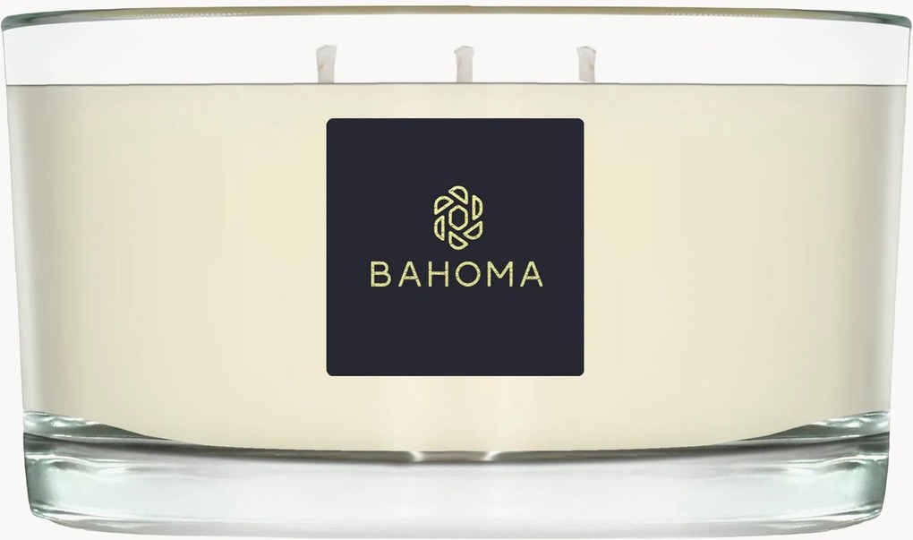 Candela profumata con tre stoppini fatta a mano Alchemy (ambra, salvia)