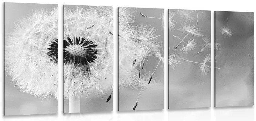 Quadri 5 pezzi – Dente di leone magico in bianco e nero