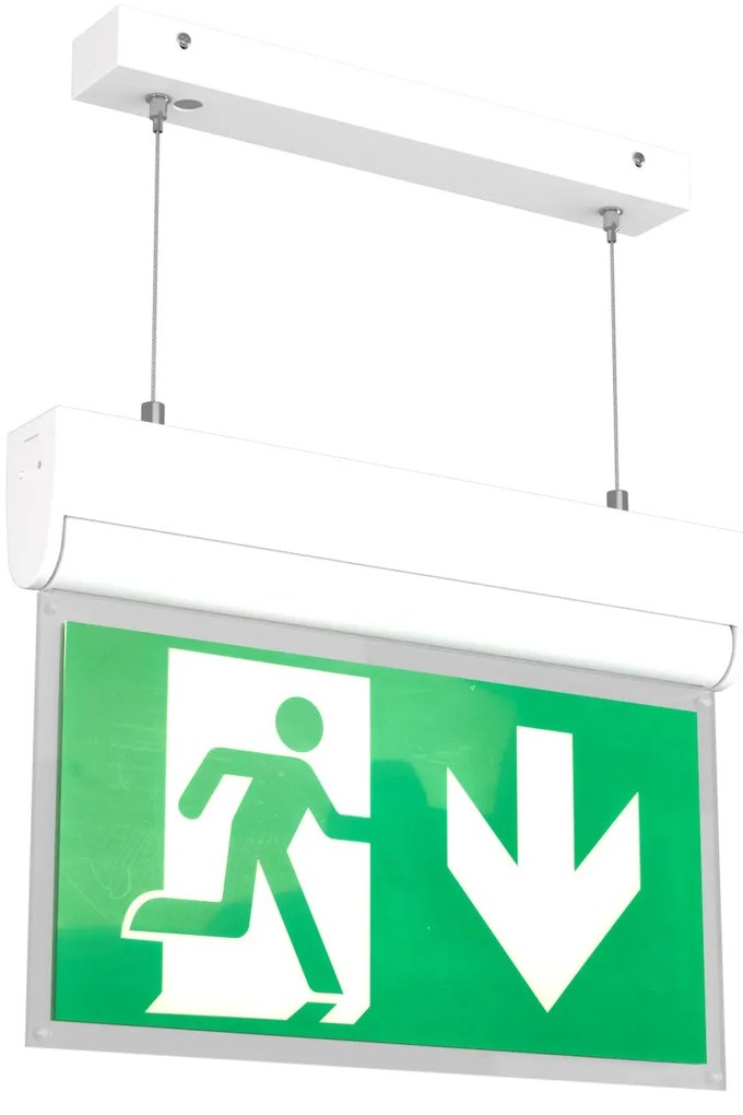Lampada Emergenza a Sospensione 3h S.E S.A Cinema Mode - Bianca o nera Colore Bianco Freddo 6.000K