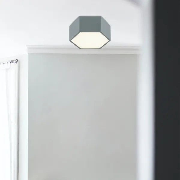 Argon 8784 - Plafoniera LED LIBERO LED/12W/230V 3000K grigio
