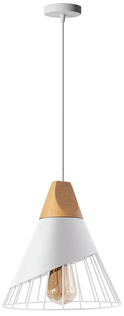 Lampada Da Soffitto Pensile Scandinavo Metallo APP226-1CP