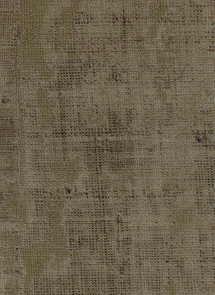 Élitis Carta da parati Atelier d'Artiste - VP 880 63
