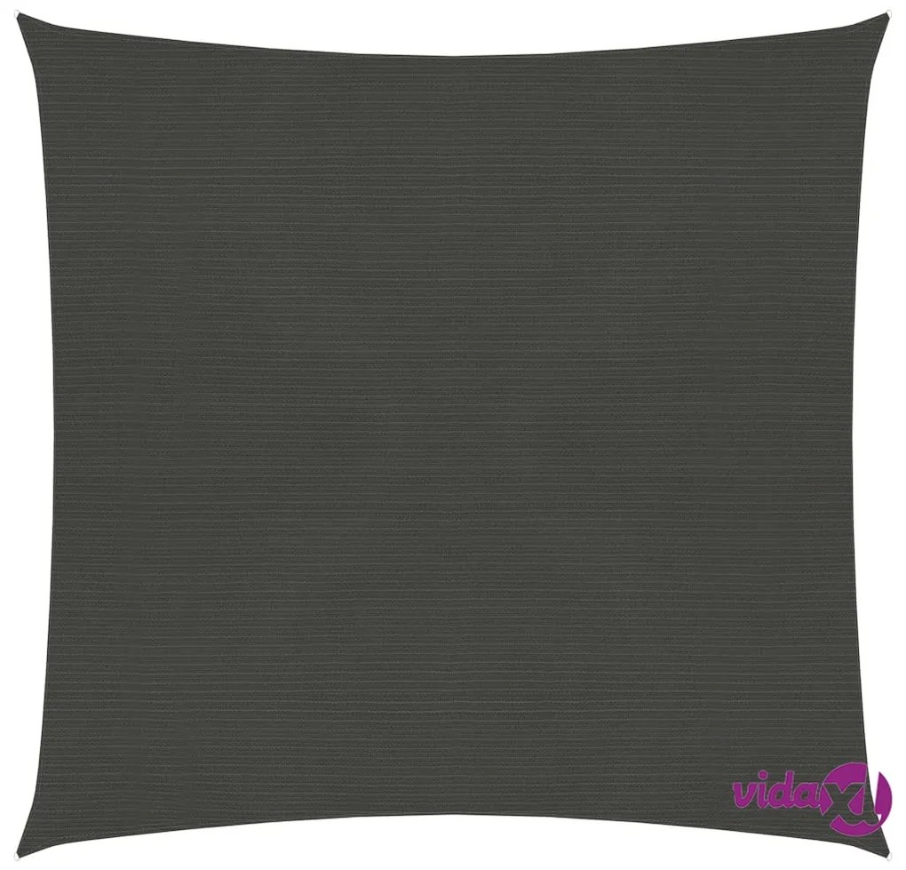 vidaXL Vela Parasole 160 g/m² Antracite 4x4 m in HDPE