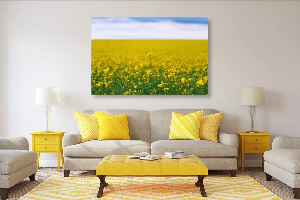 Stampa su tela – Campo giallo