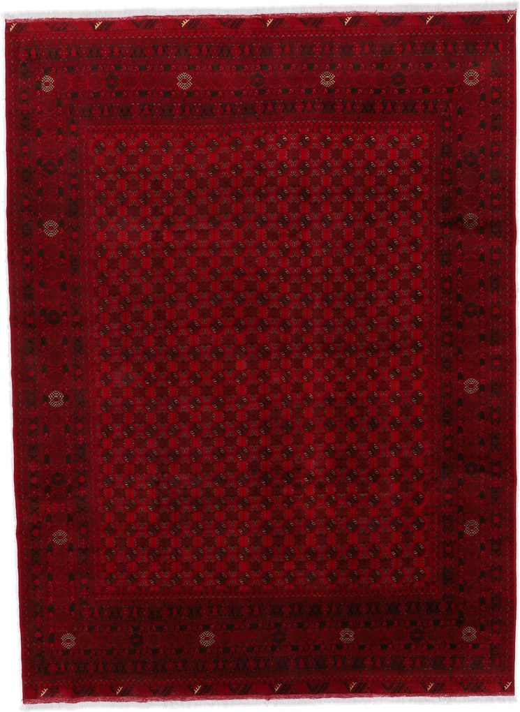 Afghan Tappeto orientale 340x250 (Afghanistan) Annodato A Mano