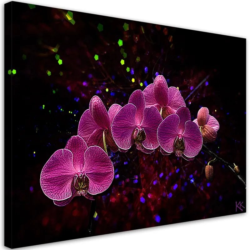 Quadro su tela, Orchidea su uno sfondo scuro  Dimensioni 100x70