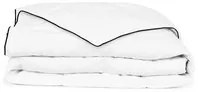 Piumone Invernale Piuma Anatra 200x220 cm