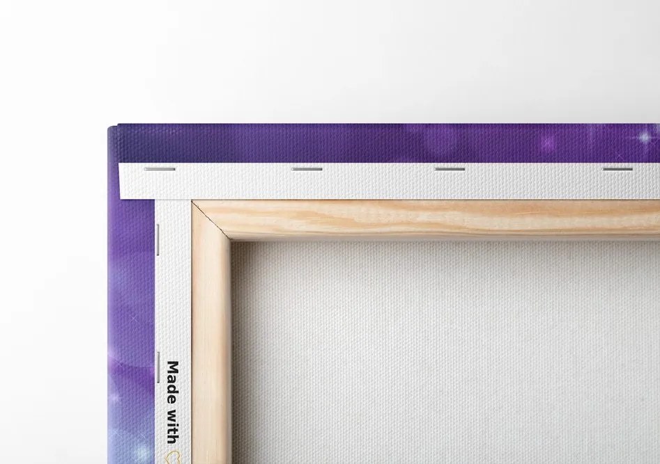 Quadro su tela – Ali con elementi astratti