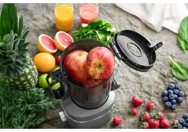 Concept LO7120 - Spremiagrumi lento JUICY 250W/230V grigio