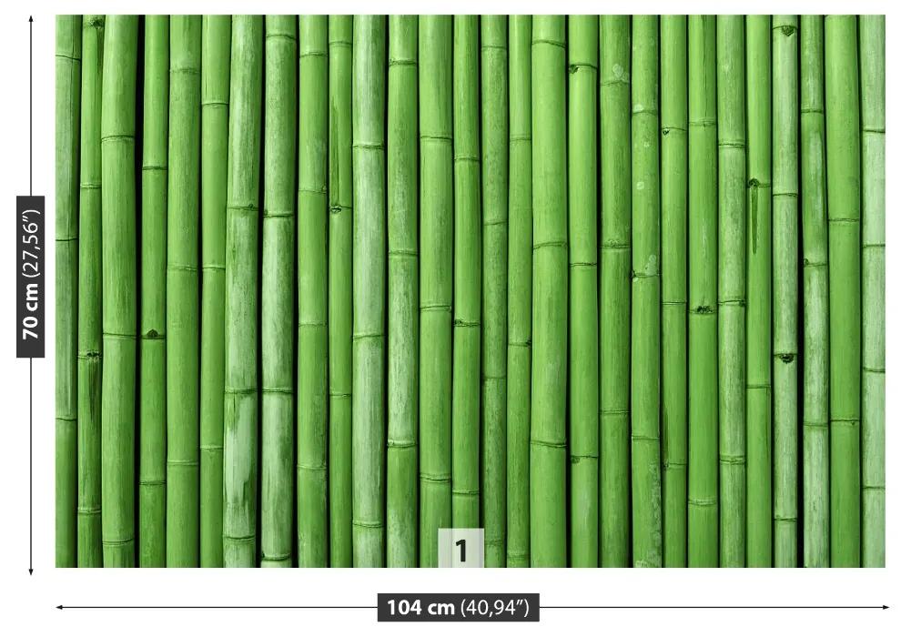 Carta da parati Bamboo verde 104x70 cm