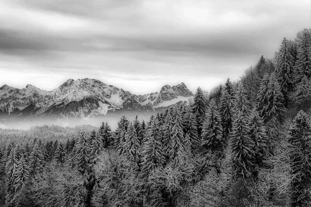 Carta da parati – Montagne ghiacciate in bianco e nero