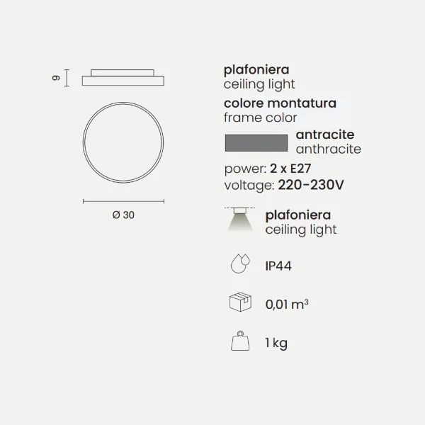 Plafoniera PETAR per esterni Antracite in Abs D30 cm