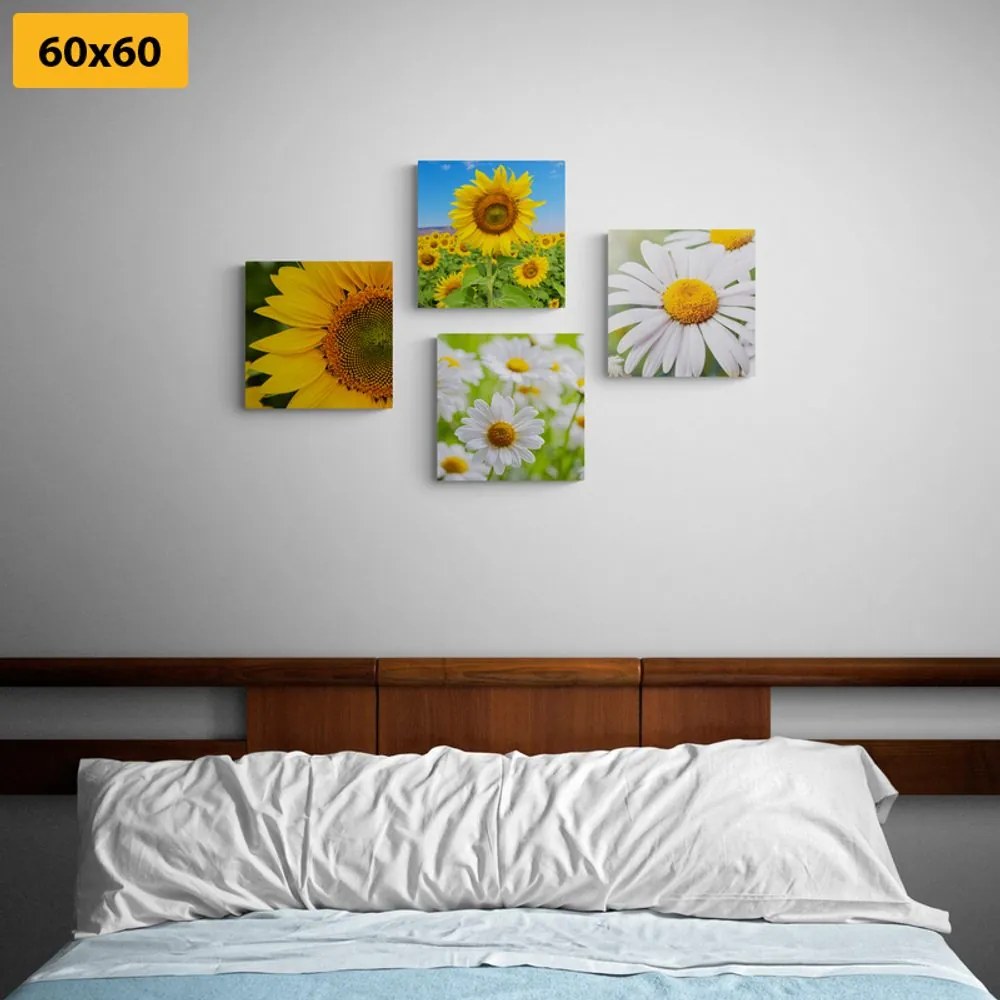 Set di quadri – Splendidi fiori nel prato