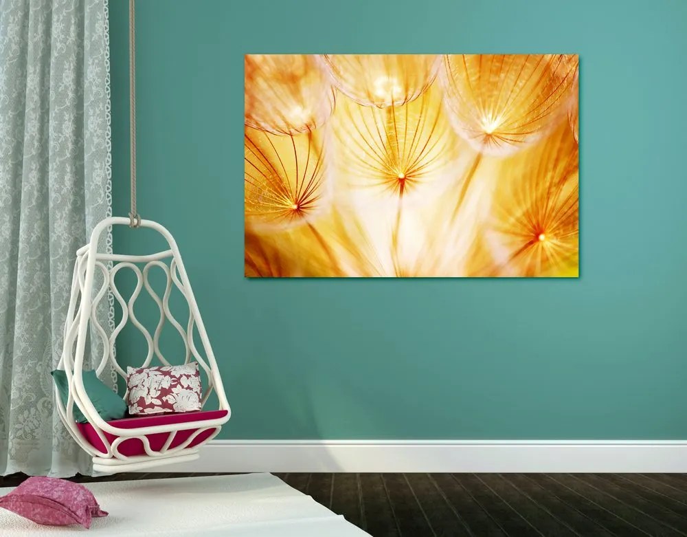 Quadro su tela – Soffione in splendida esecuzione
