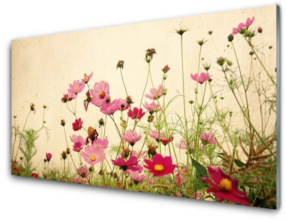 Quadro in vetro acrilico Fiori, piante, natura 100x50 cm