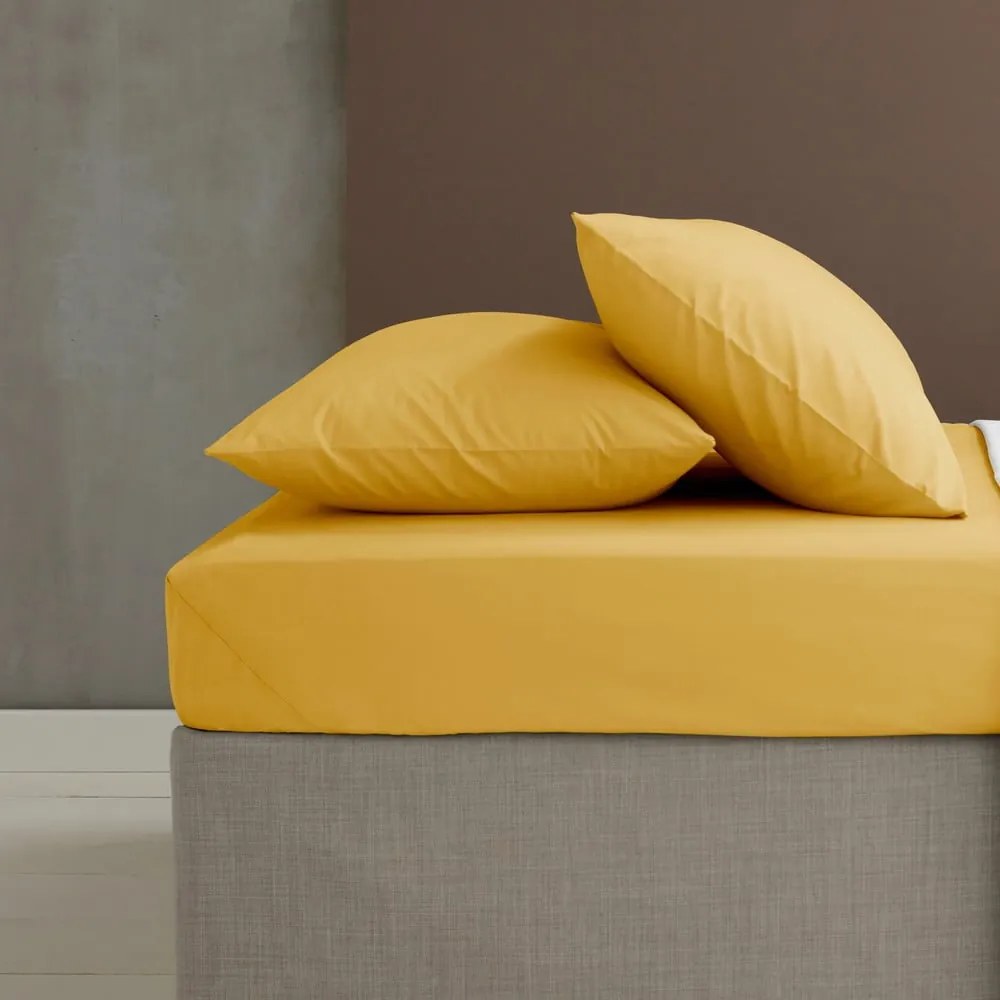 Federe per cuscino in set in percalle 2 pz 75x50 cm Easy Iron Percale – Catherine Lansfield