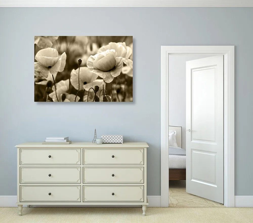 Quadro su tela – Campo di papaveri selvatici in versione seppia