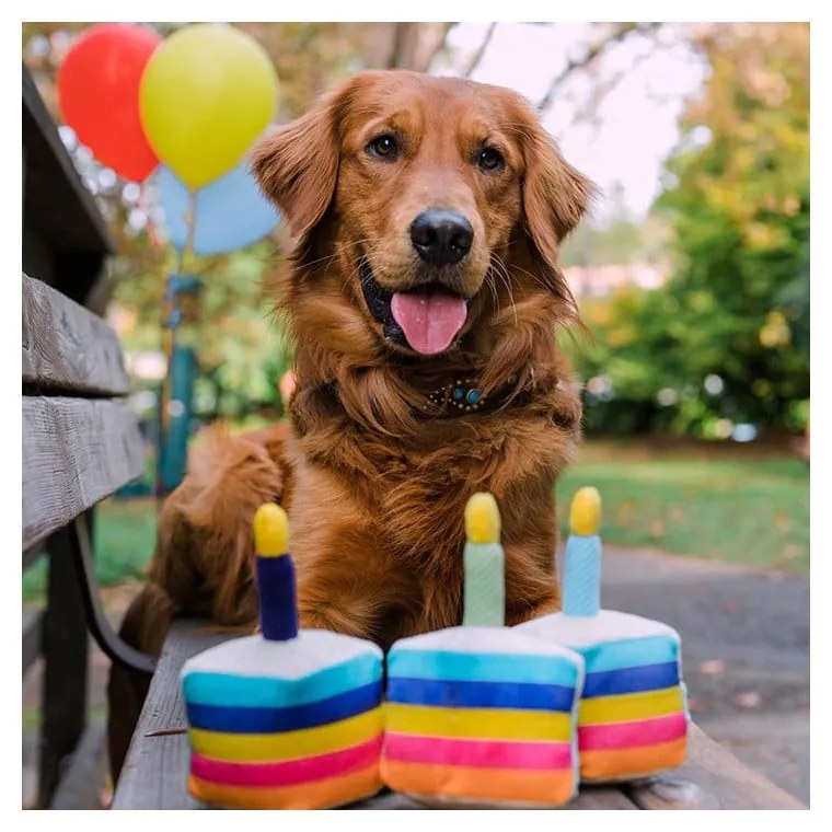 Giocattolo per cane Torta di compleanno - P.L.A.Y.