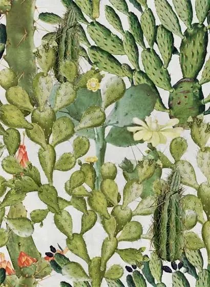 Mindthegap Carta da parati Opuntia - WP20166